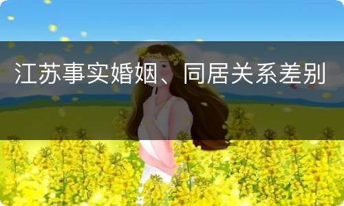 江苏事实婚姻、同居关系差别