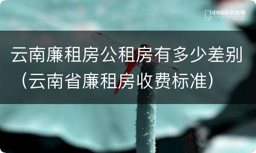 云南廉租房公租房有多少差别（云南省廉租房收费标准）