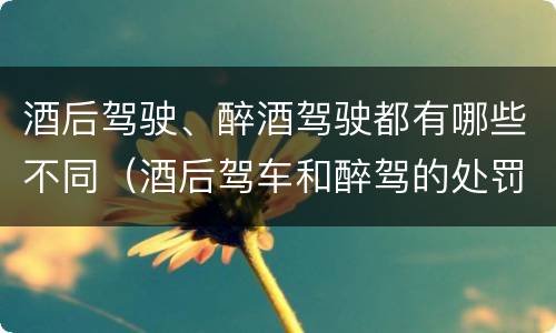 酒后驾驶、醉酒驾驶都有哪些不同（酒后驾车和醉驾的处罚）