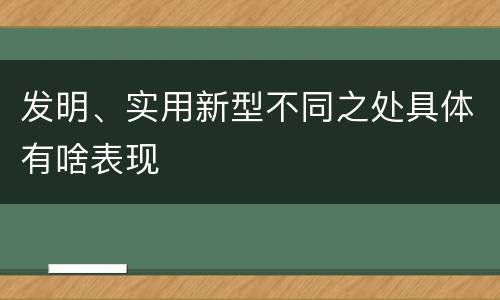 发明、实用新型不同之处具体有啥表现