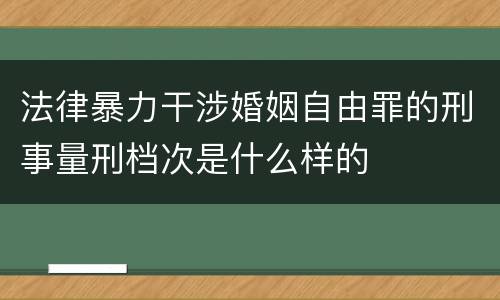 法律暴力干涉婚姻自由罪的刑事量刑档次是什么样的