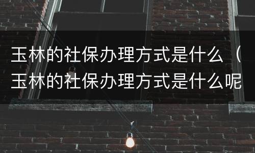 玉林的社保办理方式是什么（玉林的社保办理方式是什么呢）