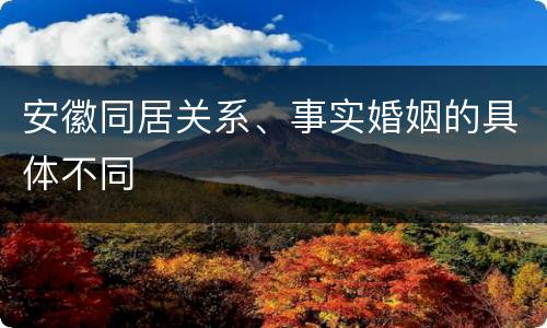 安徽同居关系、事实婚姻的具体不同