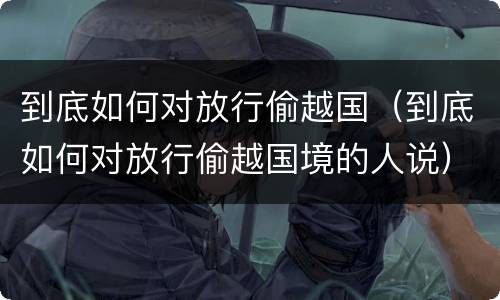 到底如何对放行偷越国（到底如何对放行偷越国境的人说）