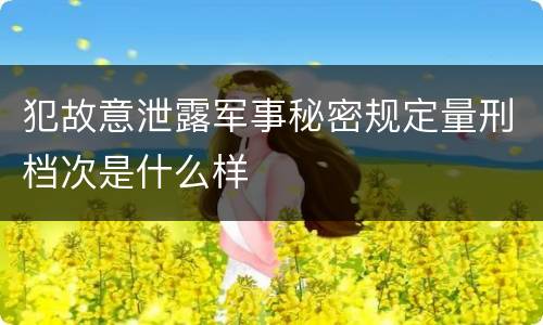 犯故意泄露军事秘密规定量刑档次是什么样