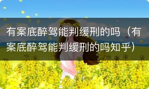 有案底醉驾能判缓刑的吗（有案底醉驾能判缓刑的吗知乎）