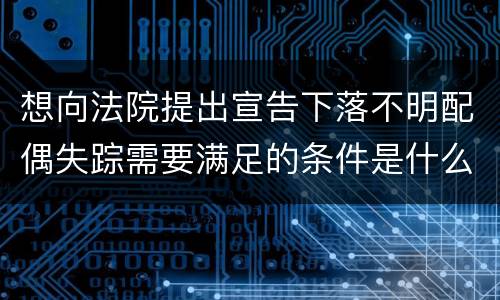 想向法院提出宣告下落不明配偶失踪需要满足的条件是什么