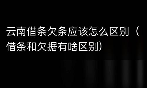 云南借条欠条应该怎么区别（借条和欠据有啥区别）