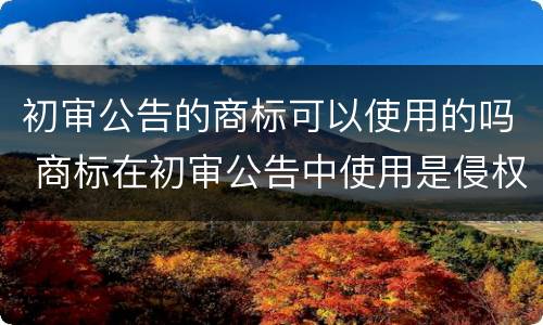 初审公告的商标可以使用的吗 商标在初审公告中使用是侵权吗