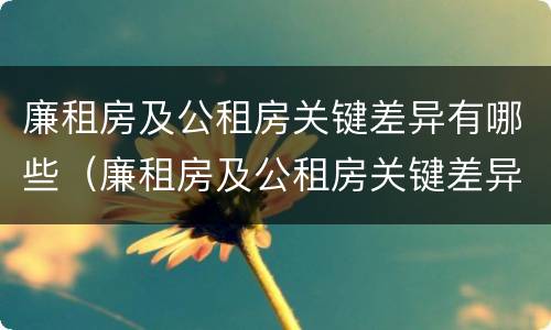 廉租房及公租房关键差异有哪些（廉租房及公租房关键差异有哪些问题）
