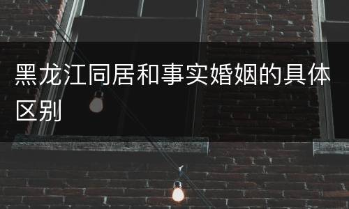 黑龙江同居和事实婚姻的具体区别