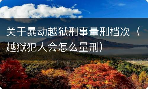 关于暴动越狱刑事量刑档次（越狱犯人会怎么量刑）