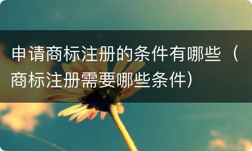 申请商标注册的条件有哪些（商标注册需要哪些条件）