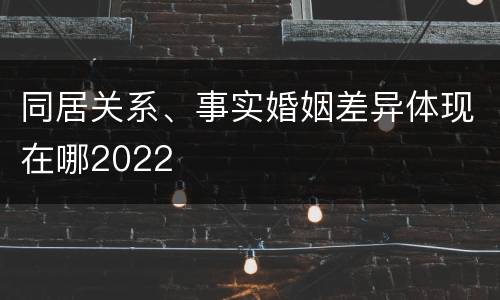 同居关系、事实婚姻差异体现在哪2022