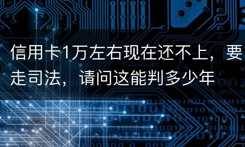 信用卡1万左右现在还不上，要走司法，请问这能判多少年