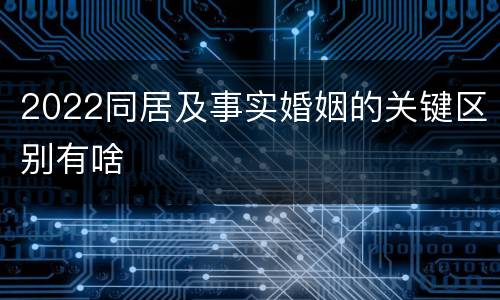 2022同居及事实婚姻的关键区别有啥