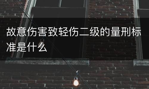 故意伤害致轻伤二级的量刑标准是什么
