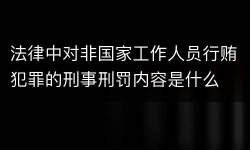 法律中对非国家工作人员行贿犯罪的刑事刑罚内容是什么
