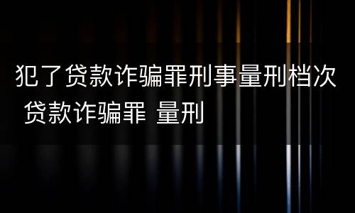 犯了贷款诈骗罪刑事量刑档次 贷款诈骗罪 量刑