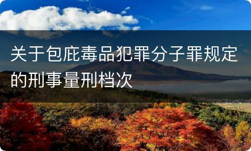 关于包庇毒品犯罪分子罪规定的刑事量刑档次