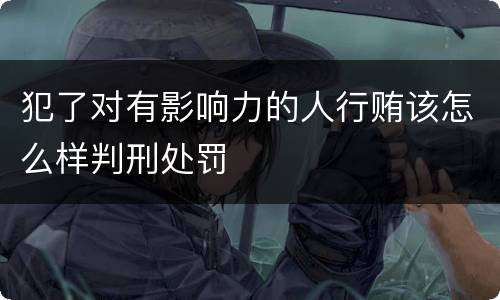 犯了对有影响力的人行贿该怎么样判刑处罚