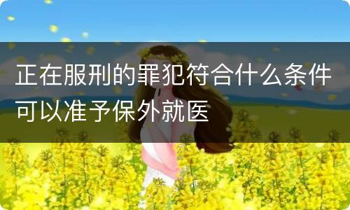 正在服刑的罪犯符合什么条件可以准予保外就医