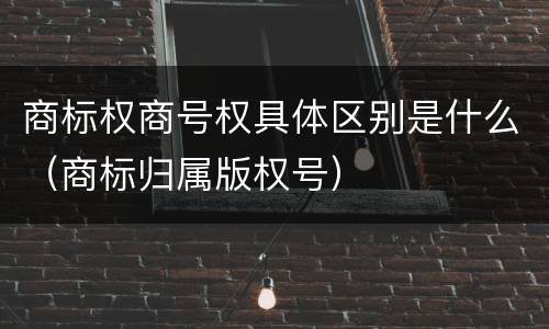 商标权商号权具体区别是什么（商标归属版权号）