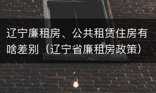 辽宁廉租房、公共租赁住房有啥差别（辽宁省廉租房政策）