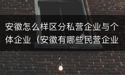 安徽怎么样区分私营企业与个体企业（安徽有哪些民营企业）