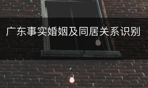 广东事实婚姻及同居关系识别