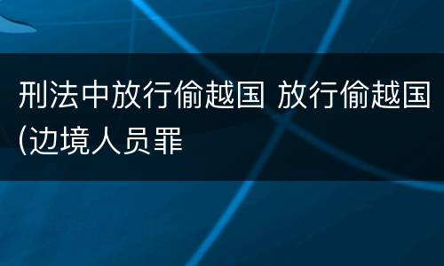 刑法中放行偷越国 放行偷越国(边境人员罪