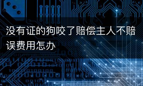 没有证的狗咬了赔偿主人不赔误费用怎办