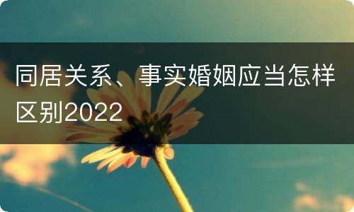 同居关系、事实婚姻应当怎样区别2022