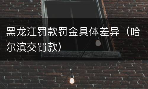 黑龙江罚款罚金具体差异（哈尔滨交罚款）