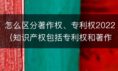 怎么区分著作权、专利权2022（知识产权包括专利权和著作权吗）