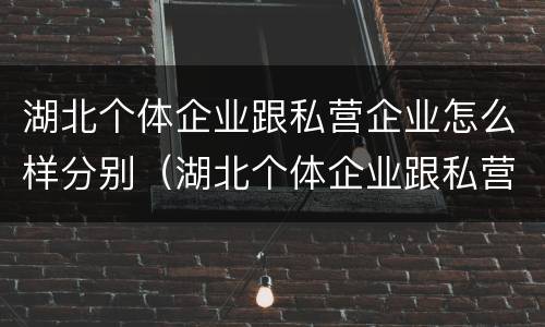 湖北个体企业跟私营企业怎么样分别（湖北个体企业跟私营企业怎么样分别呢）