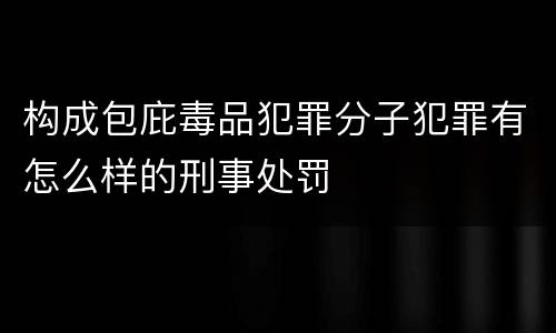 构成包庇毒品犯罪分子犯罪有怎么样的刑事处罚