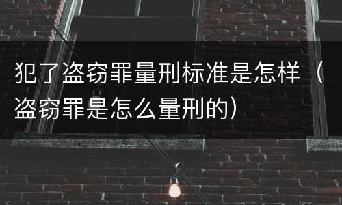 犯了盗窃罪量刑标准是怎样（盗窃罪是怎么量刑的）