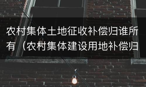 农村集体土地征收补偿归谁所有（农村集体建设用地补偿归谁所有）