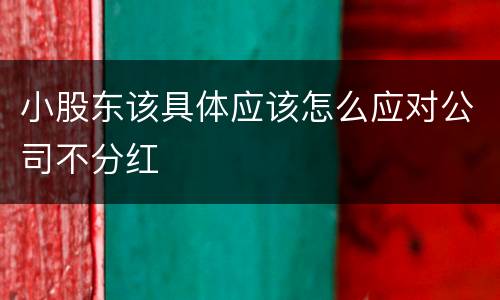 小股东该具体应该怎么应对公司不分红