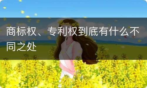 商标权、专利权到底有什么不同之处