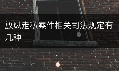 放纵走私案件相关司法规定有几种