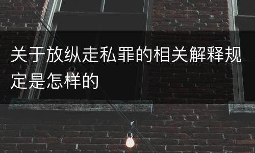 关于放纵走私罪的相关解释规定是怎样的