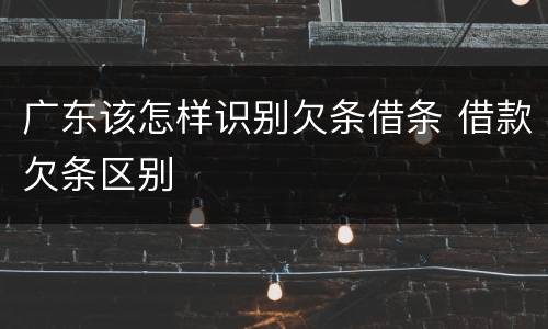 广东该怎样识别欠条借条 借款欠条区别