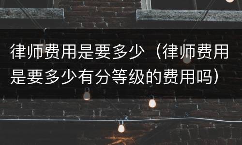 律师费用是要多少（律师费用是要多少有分等级的费用吗）