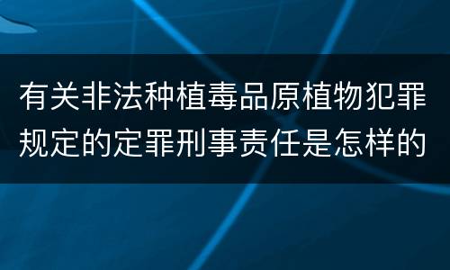 有关非法种植毒品原植物犯罪规定的定罪刑事责任是怎样的