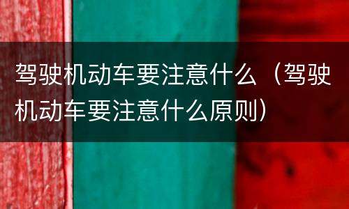 驾驶机动车要注意什么（驾驶机动车要注意什么原则）