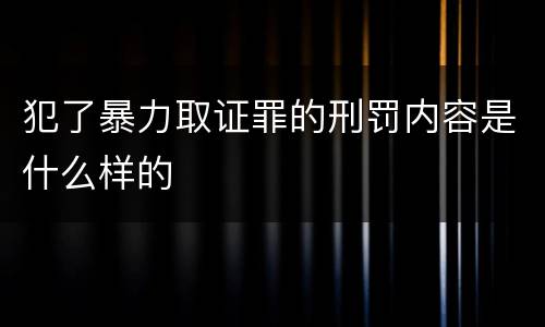 犯了暴力取证罪的刑罚内容是什么样的