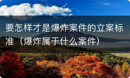 要怎样才是爆炸案件的立案标准（爆炸属于什么案件）