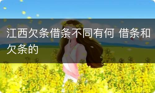 江西欠条借条不同有何 借条和欠条的